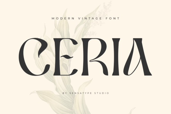 Ceria: Elevating Design with Modern Sophistication